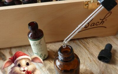 Pour noël, offrez un conseil & un flacon personnalisés Fleurs de Bach
