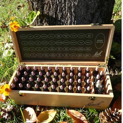 Harmonie en fleurs de Bach Elixirs Harmonie en fleurs de Bach Elixirs