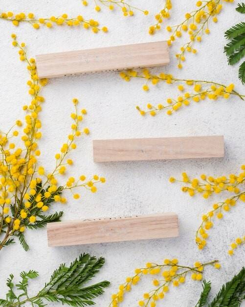 Les étapes d'un entretien fleurs de Bach Harmonie en fleurs de Bach - Etapes d'un entretien