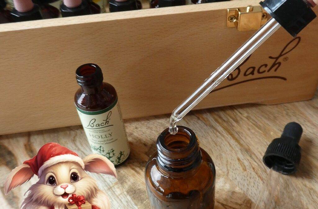 Offrez une consultation fleurs de Bach pour Noel