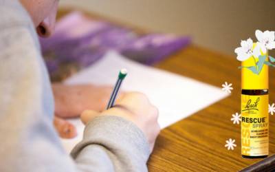 Surmontez votre peur des examens