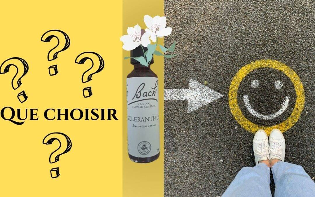 Réussissez votre choix d’orientation