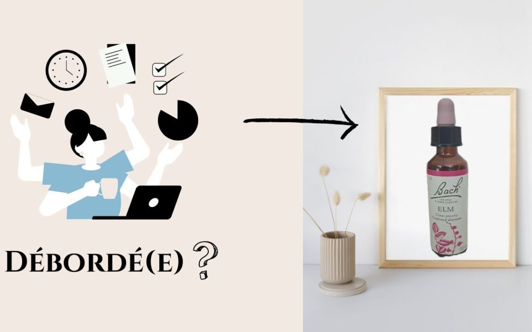 ELM, la fleur de la responsabilité