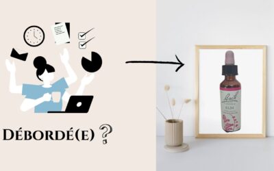 Ne vous laissez pas déborder par la rentrée !