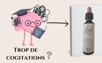 Arrêtez votre rumination mentale