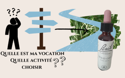 WILD OAT : Trouver sa voie